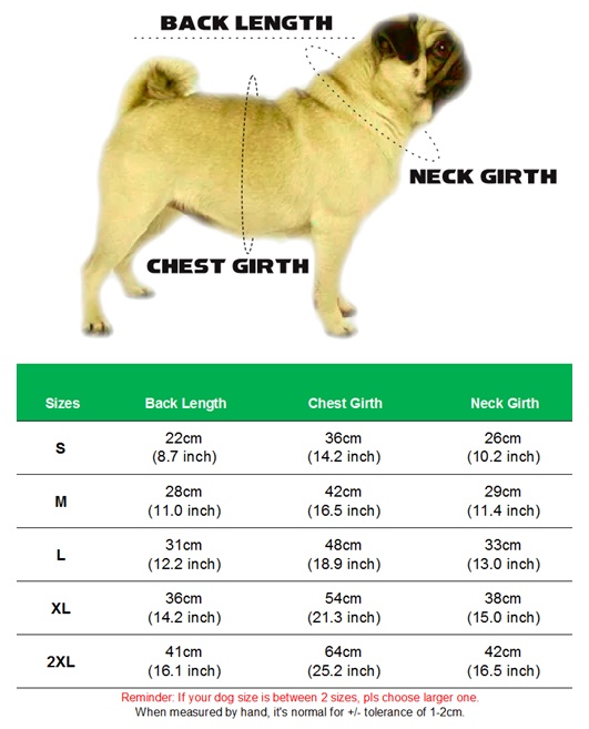 how-to-measure-your-pug-pugenvy